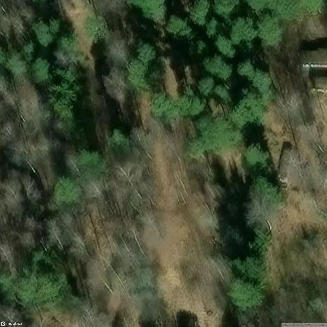 Wood Farm [SWE] #01979