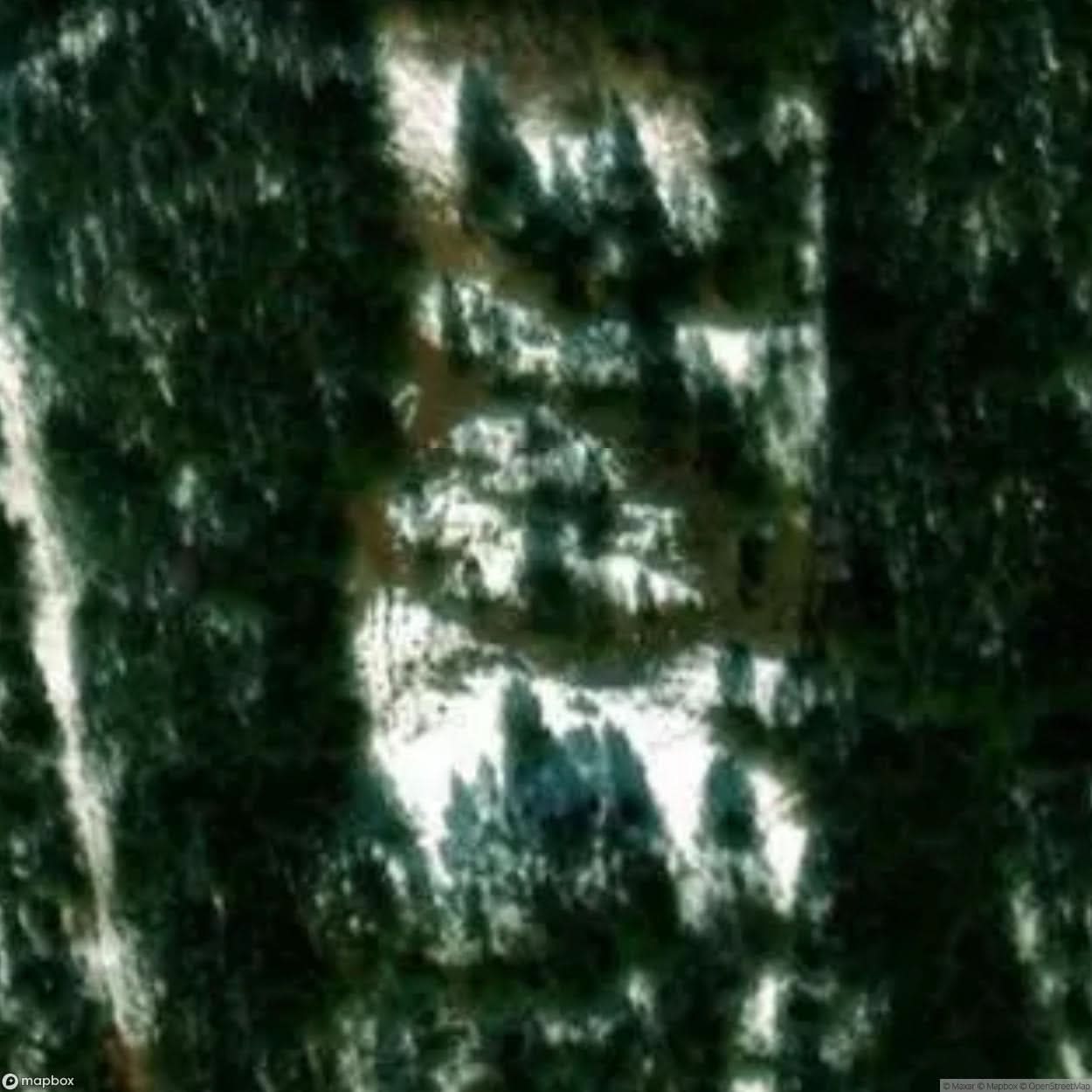 Wilkocin Website [POL] #32126