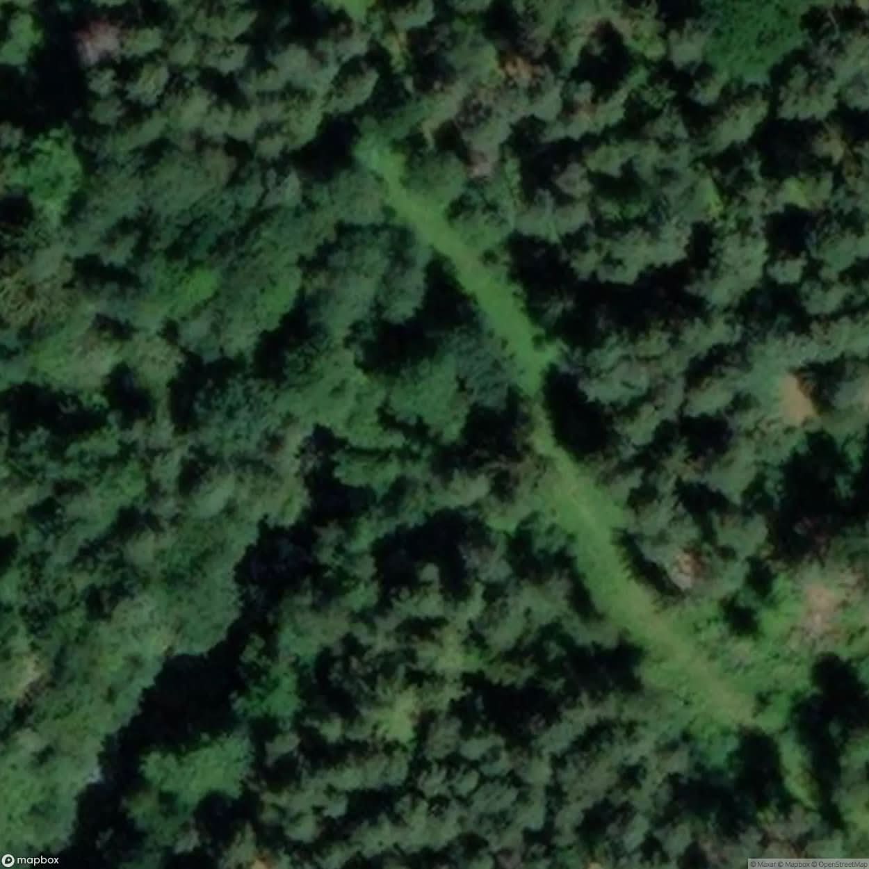 Remains Of Wehrmacht Shooting Range [DEU] #15217
