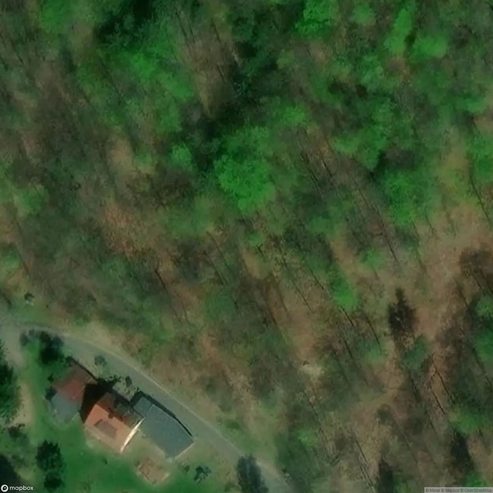 Riese Complex Jawornik [POL] #16973
