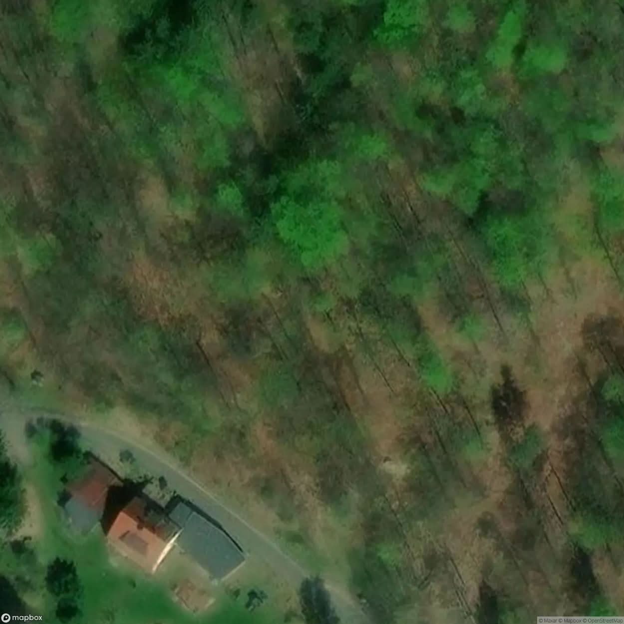 Riese Complex Jawornik [POL] #16973