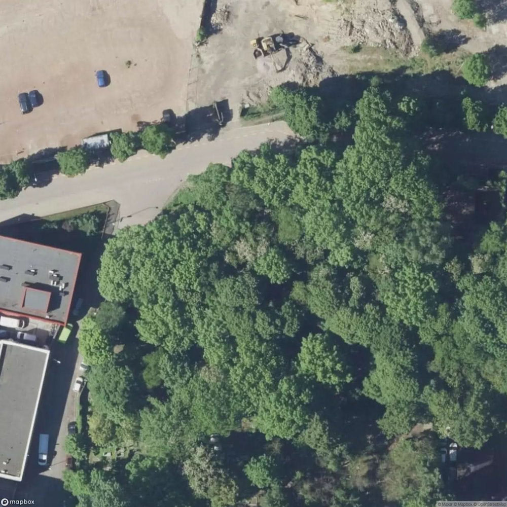 Historic Cemetery Katowice [POL] #35849