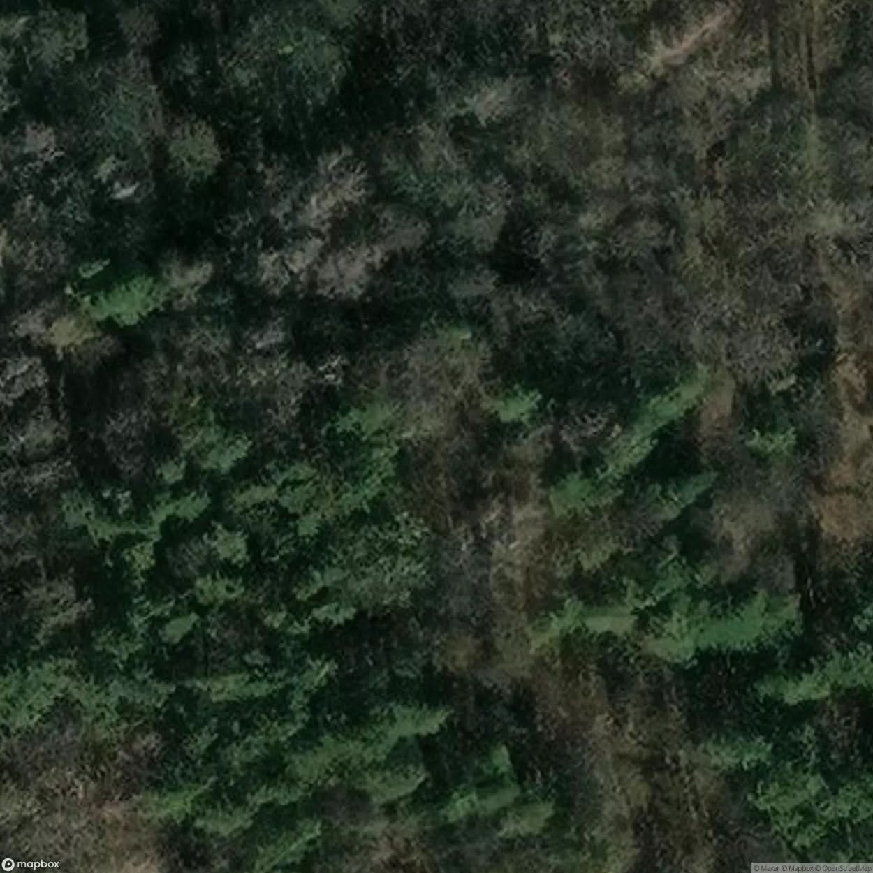 Sperenberg Military Airfield [POL] #32276