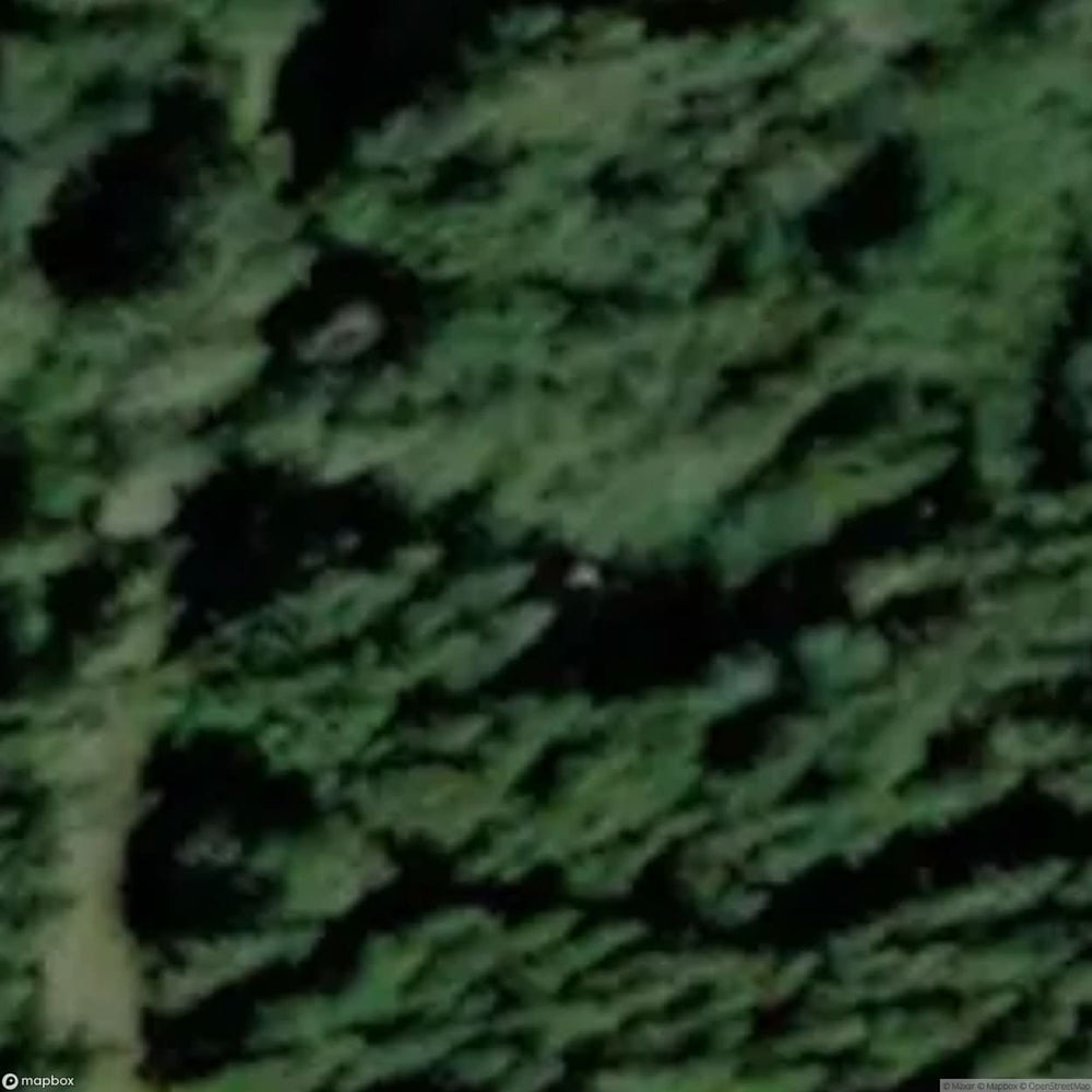 Cabin Q [SWE] #00178