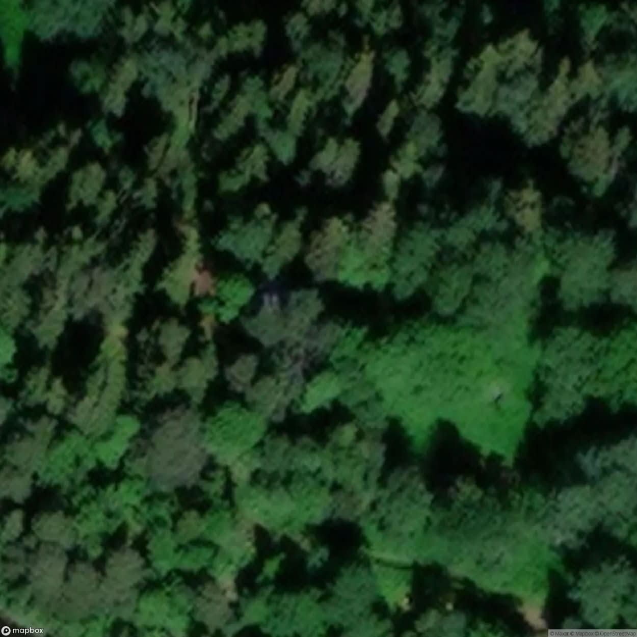 Woods Room [SWE] #01984