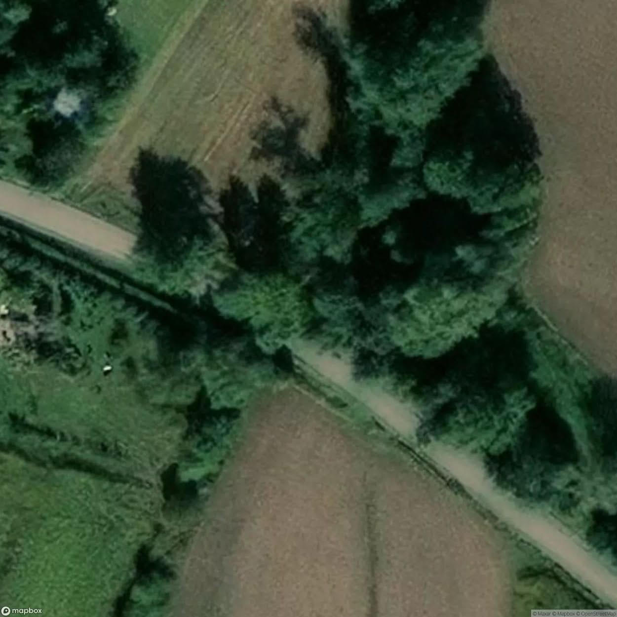 Site Abandoned Farmstead Gorka [POL] #23987
