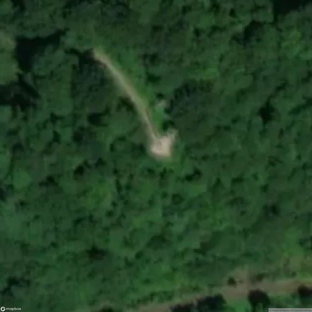 Site Ruins Of Sobien Castle [POL] #33485