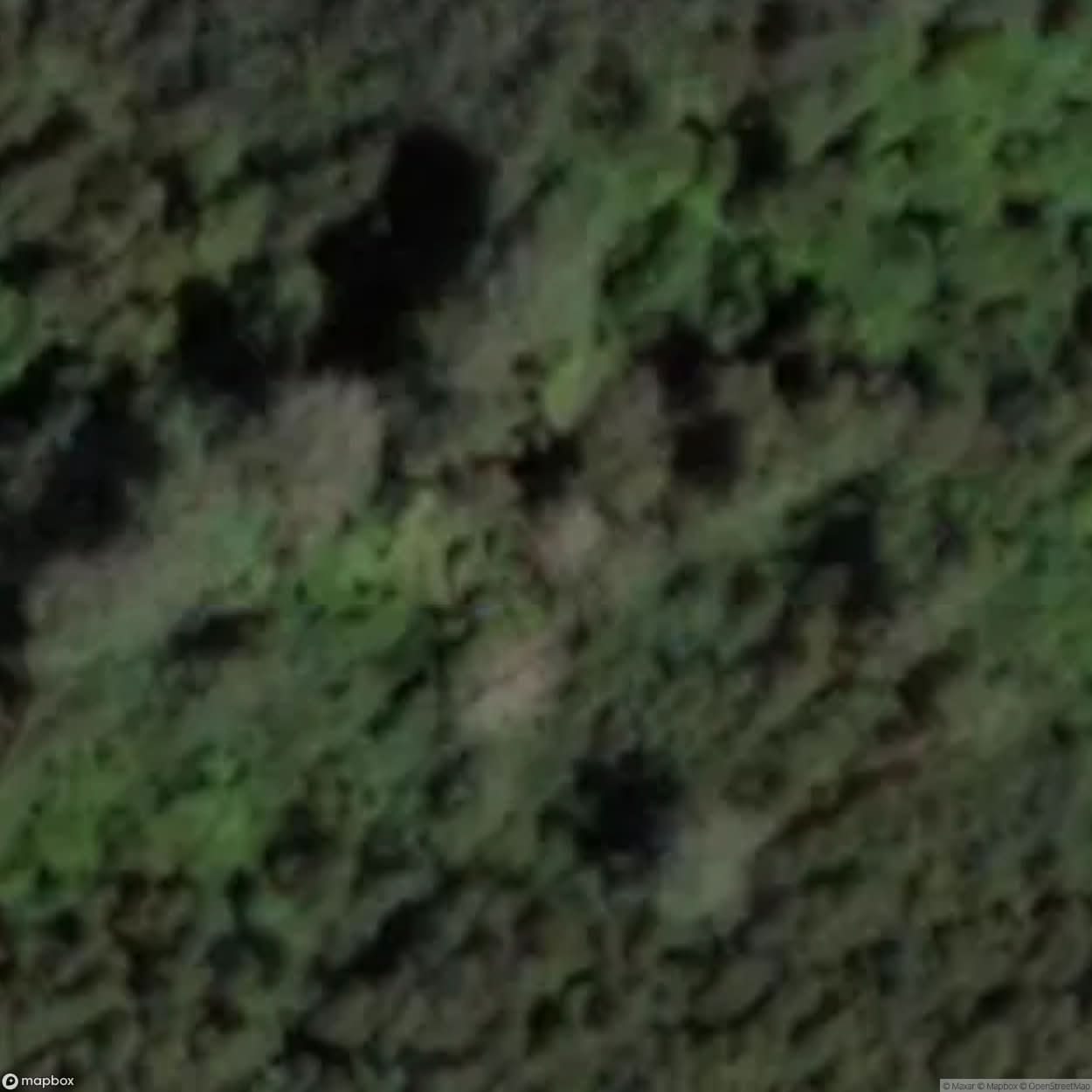 Ennuksemae Forest Brother Bunker [EST] #02280