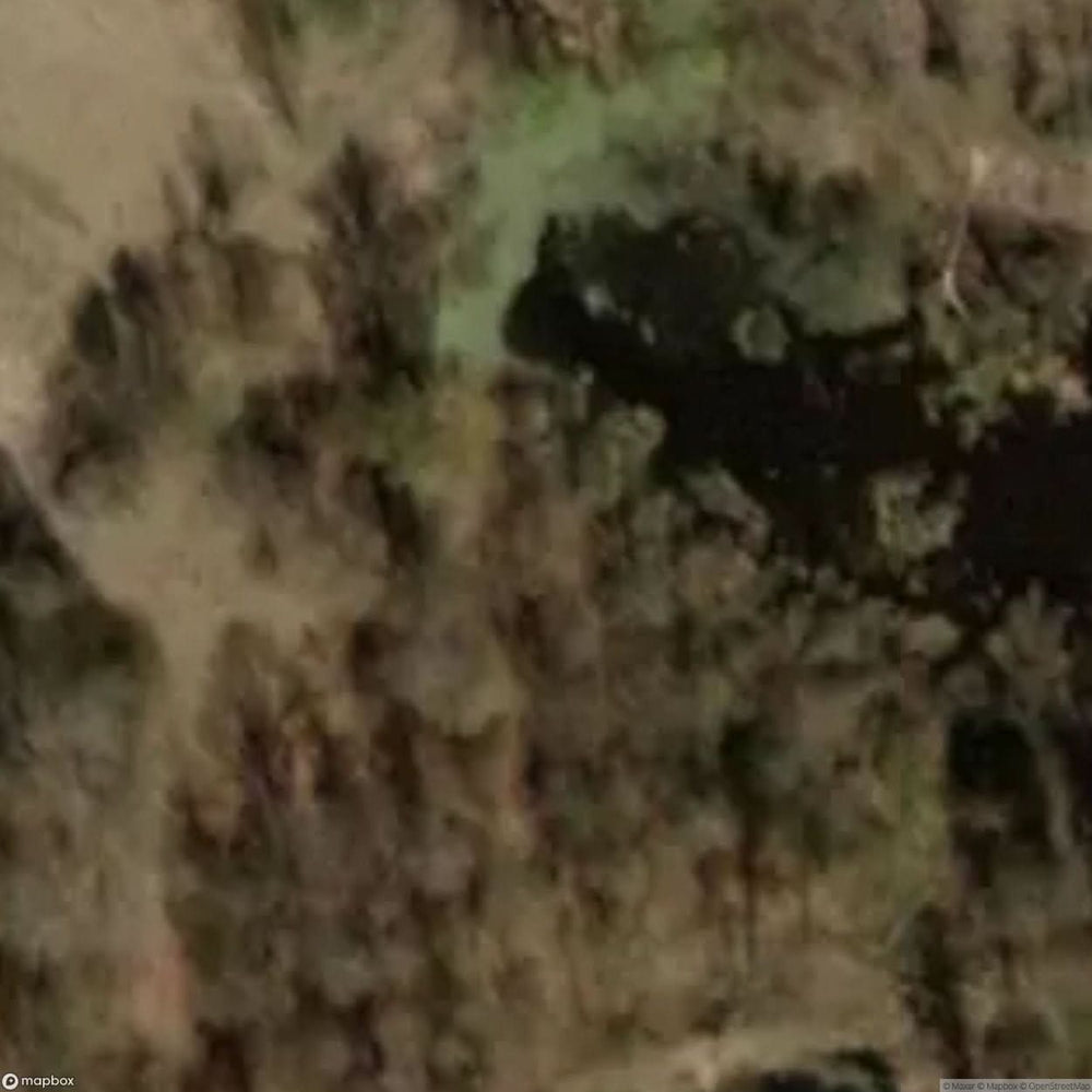 Dbrzno Village Website [POL] #33054