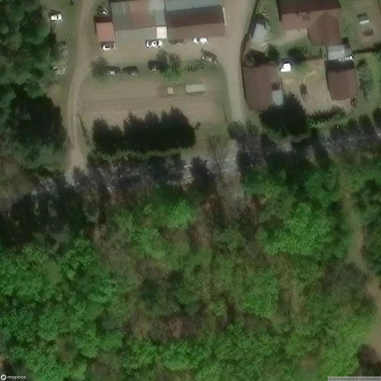 Historic Cemetery Zastawek [POL] #35828