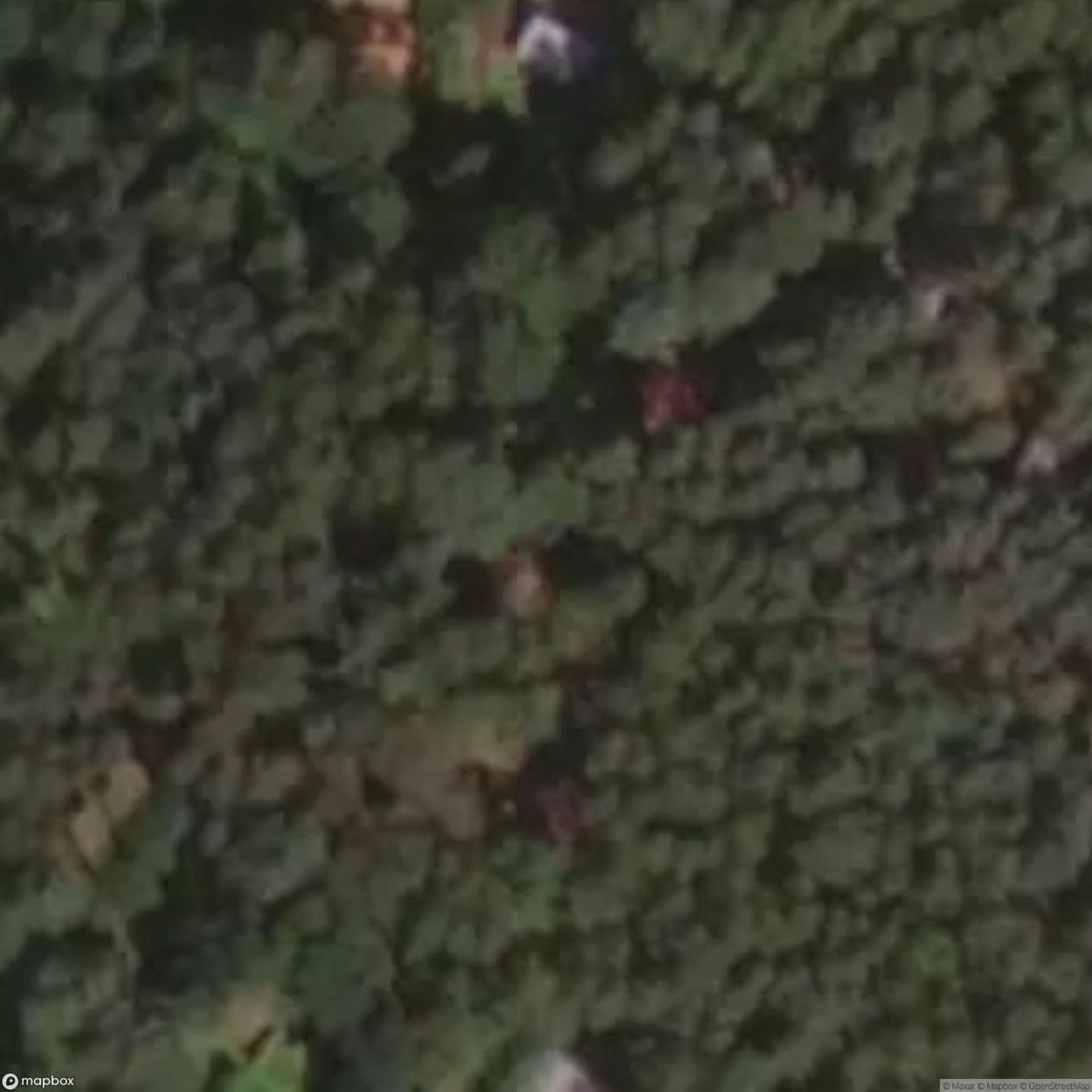 Site Abandoned Cottage In The Middle Of The Forest [POL] #33424