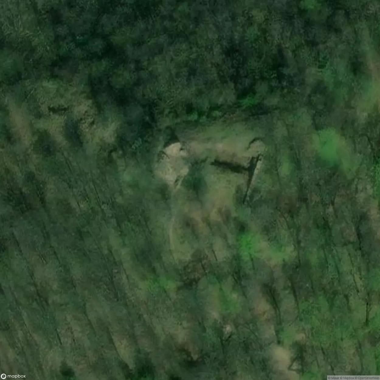 Rogowiec Castle Ruins [POL] #11786