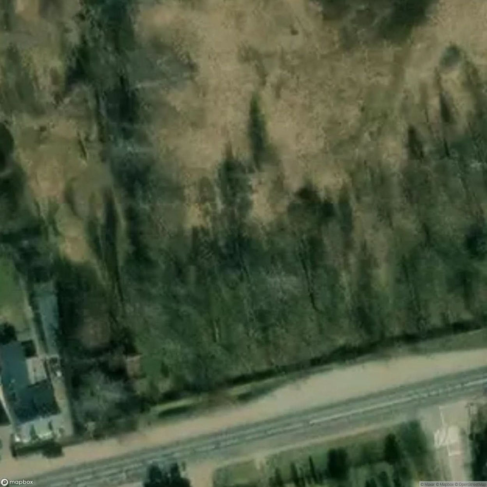 Historic Cemetery Owicz [POL] #35807