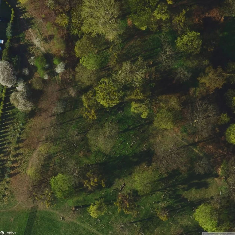 Historic Cemetery Gdansk [POL] #35851