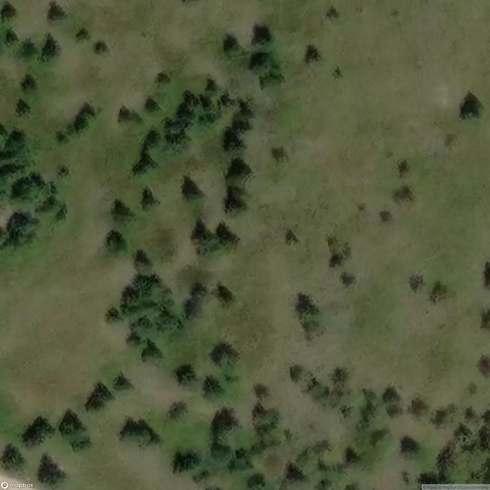 Peat Pit [POL] #08574