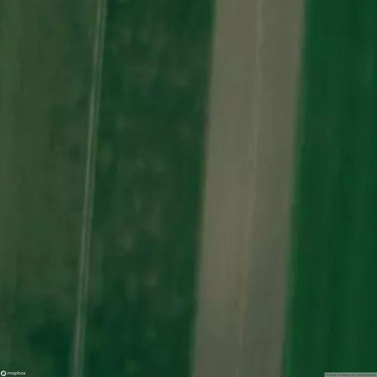 Bojano Website [POL] #32940