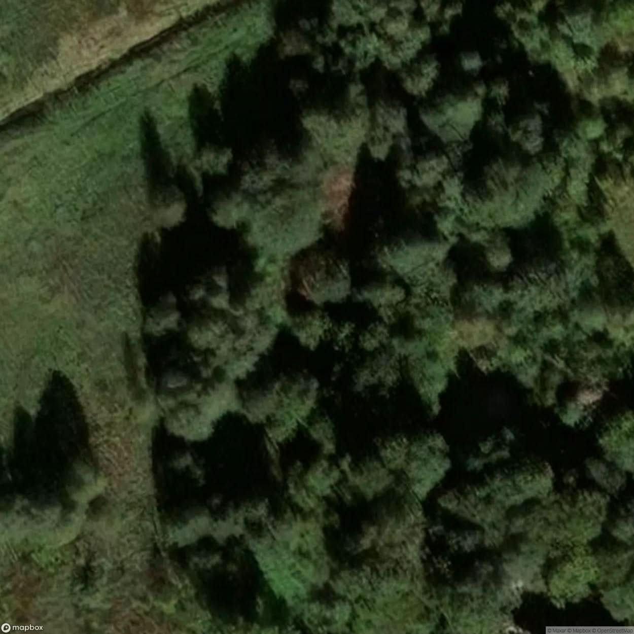 Kamieniec Site [POL] #23844