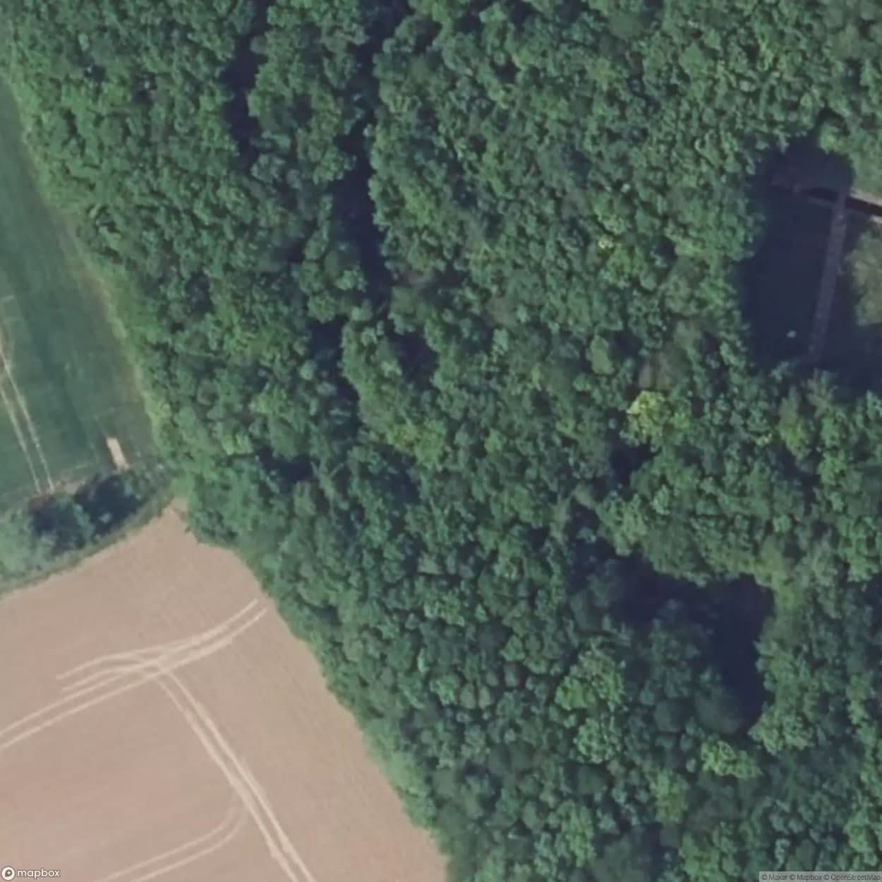 Abri X Rochonvillers Forest [FRA] #15394
