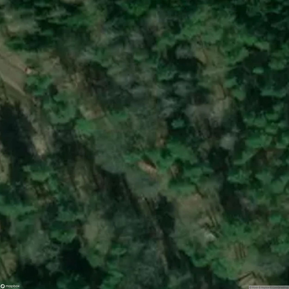 Lonely Grave [POL] #11395