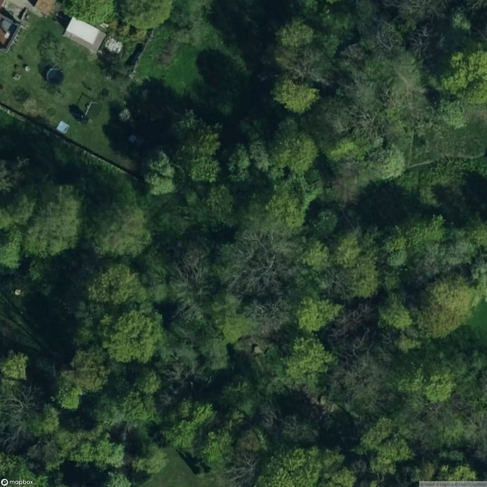 Ruins Of Limekiln [EST] #11764