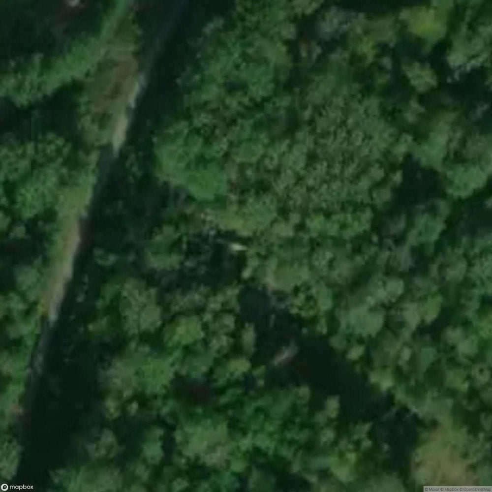 Site New Herons [POL] #34124