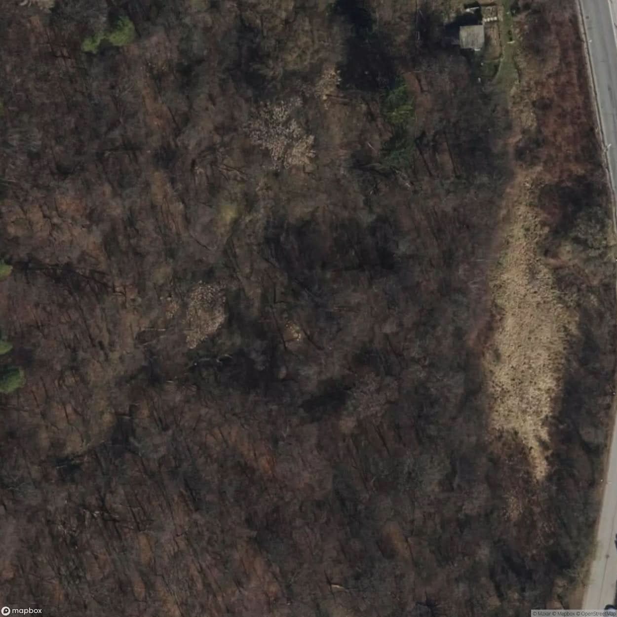 German Bunkers [AUT] #07878