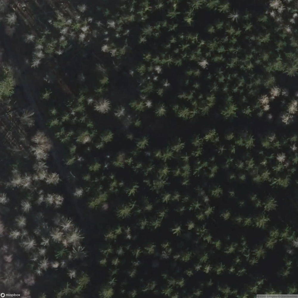 Village In The Woods [DEU] #00302