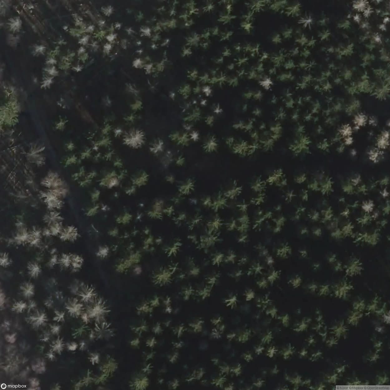 Village In The Woods [DEU] #00302
