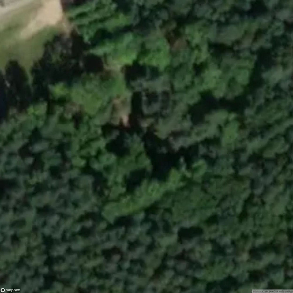 Historic Cemetery Soviet Army Cemetery [POL] #35881