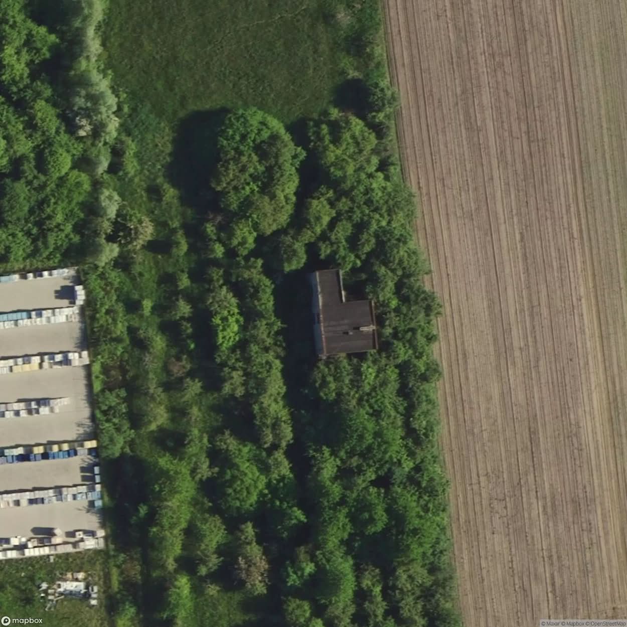 Palace Naliboksk Forest [POL] #24595