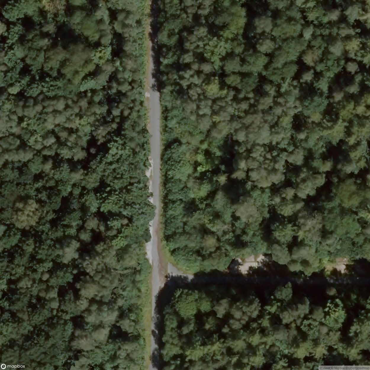 Hunxer Forest Ammunition Depot [DEU] #32315