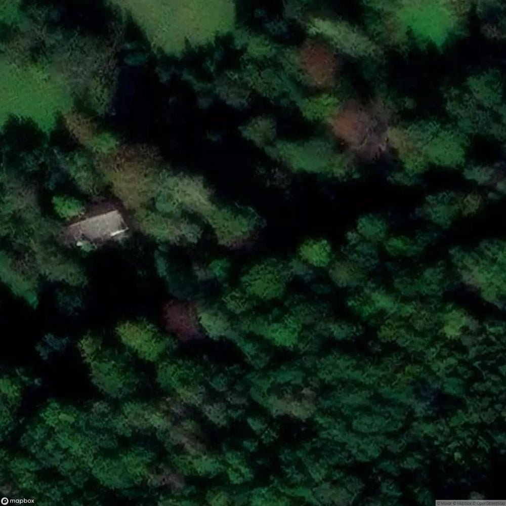 Residential Building Abandoned House In The Middle Of The Forest [POL] #24107