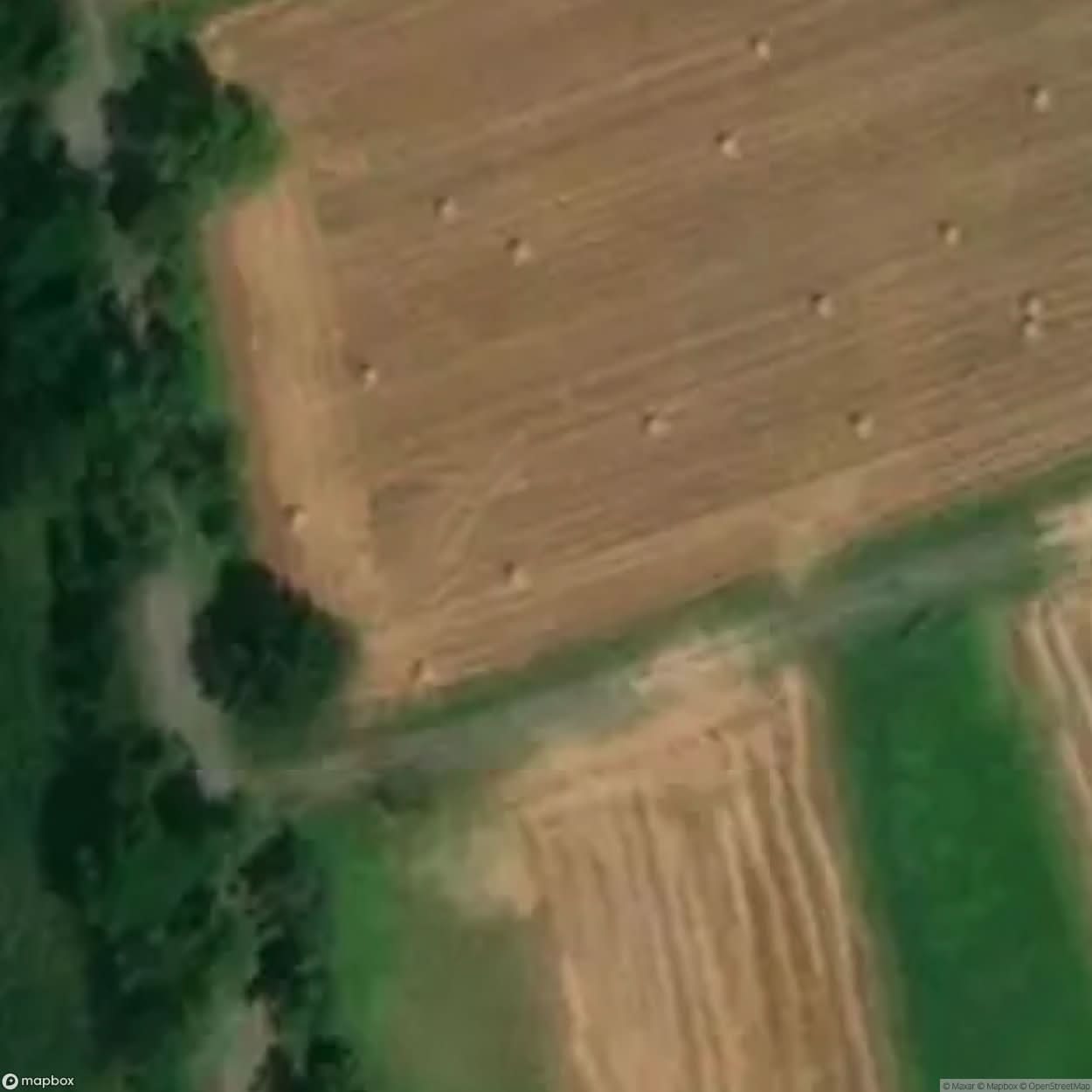 Historic Cemetery Markusy [POL] #35790