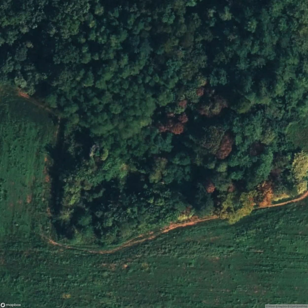 Pegorino Farmstead [ITA] #10507
