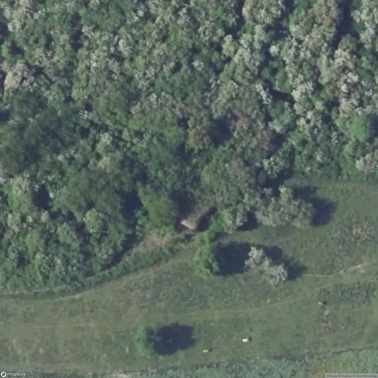 Denting Fortification [FRA] #16824