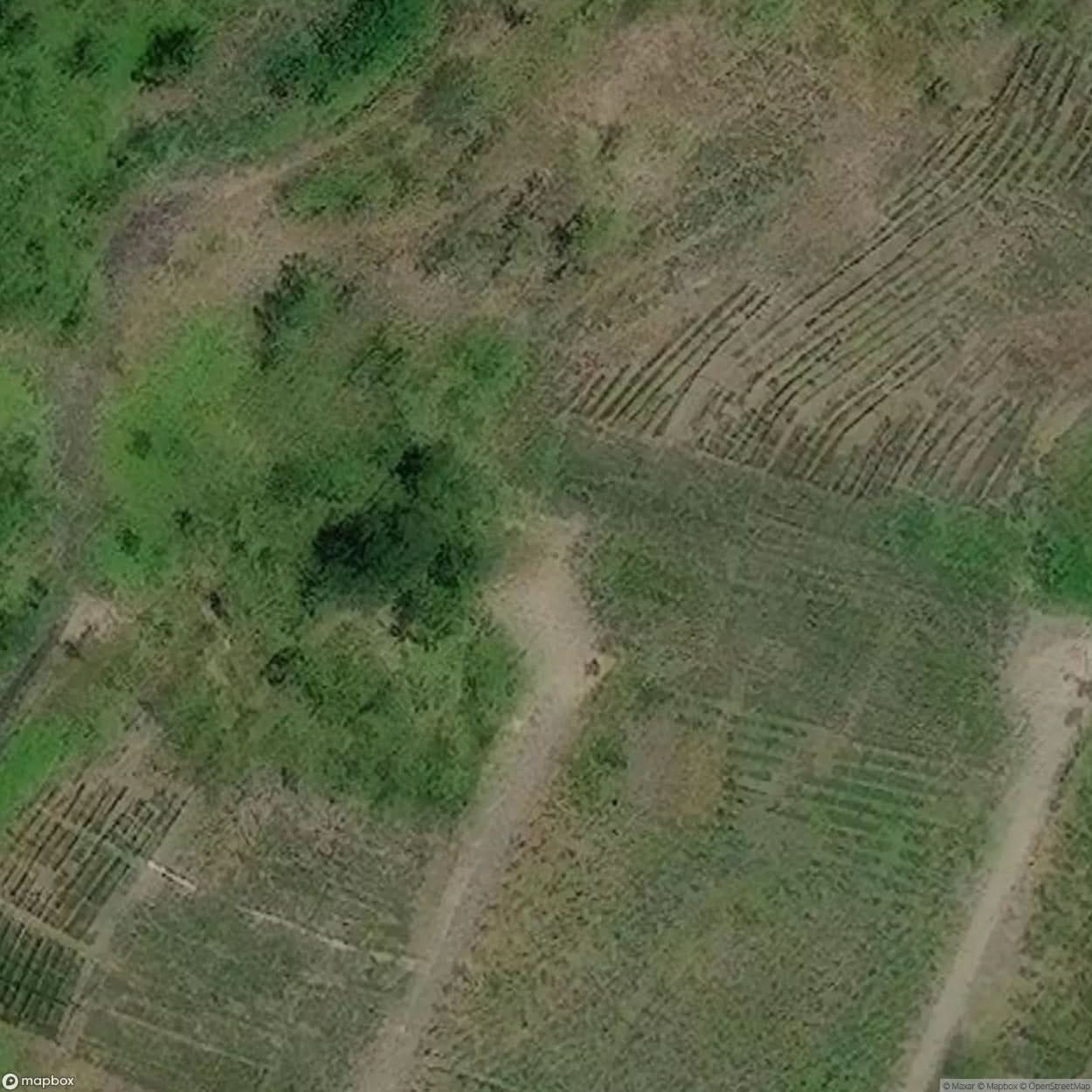 Napsbury [DEU] #08896