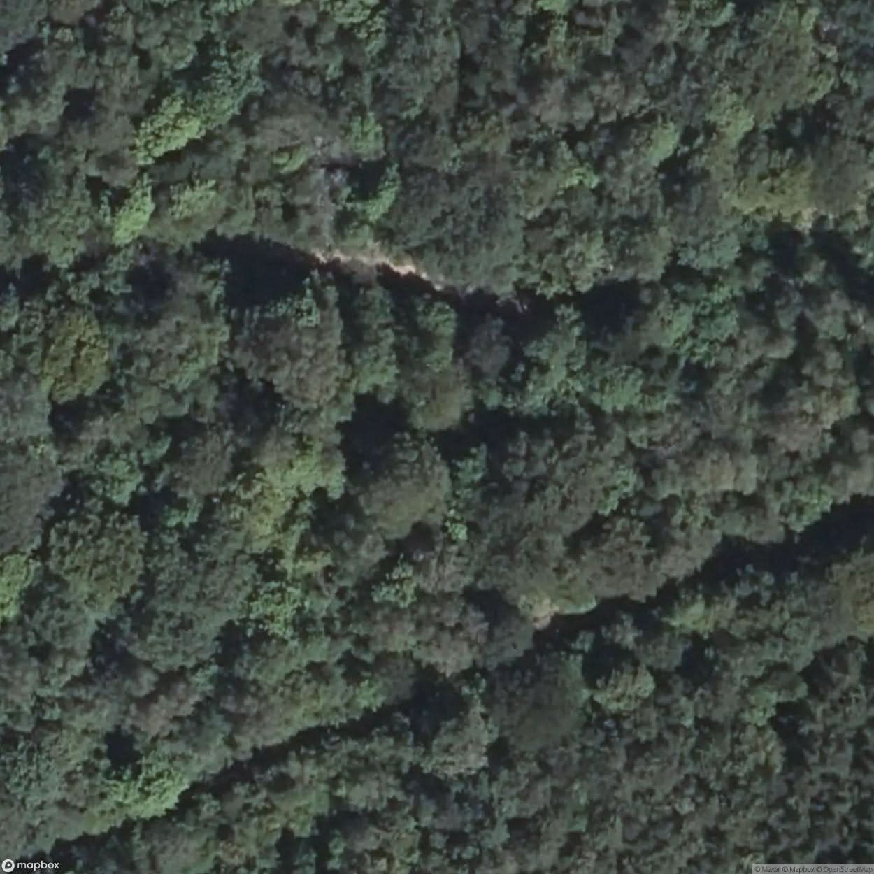 Hartmannsweilerkopf Battlefield [FRA] #16290