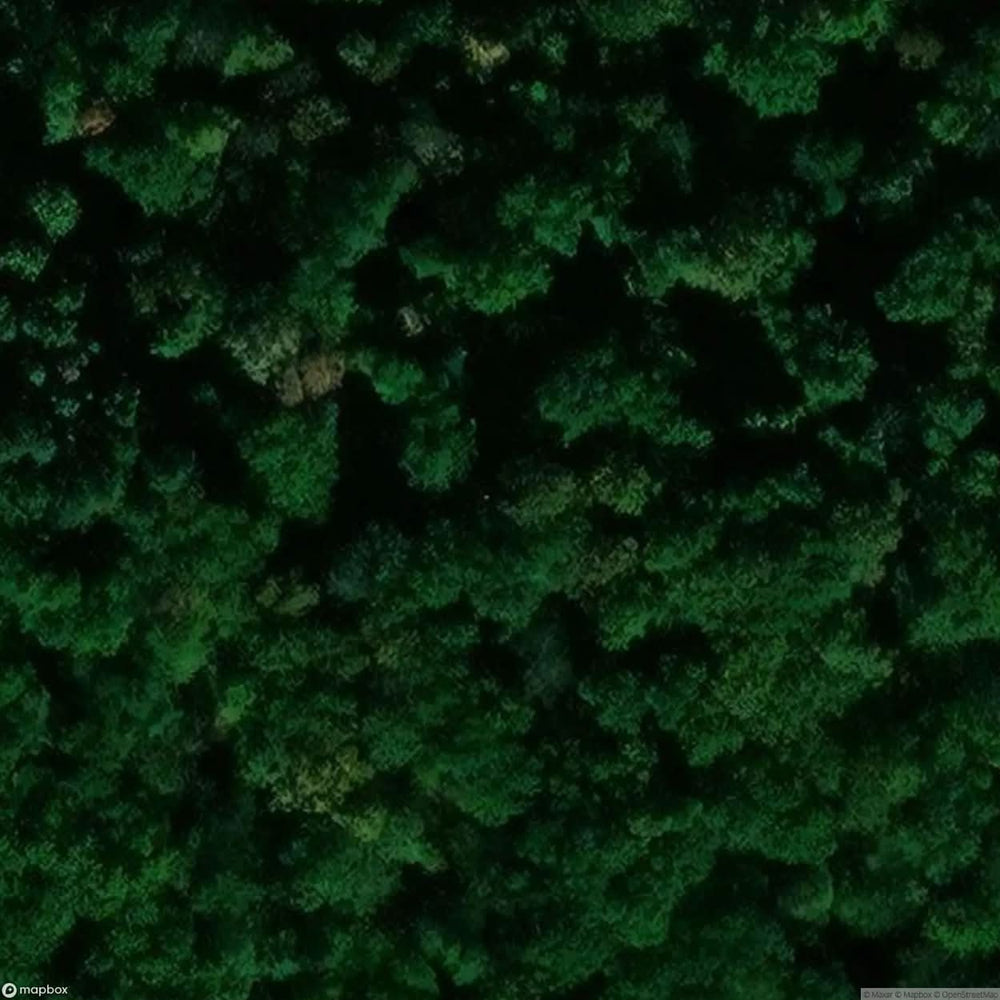 Villa Saxony [DEU] #01904