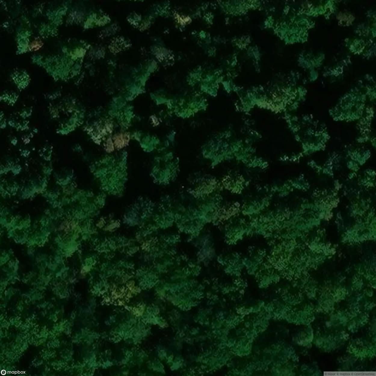 Villa Saxony [DEU] #01904