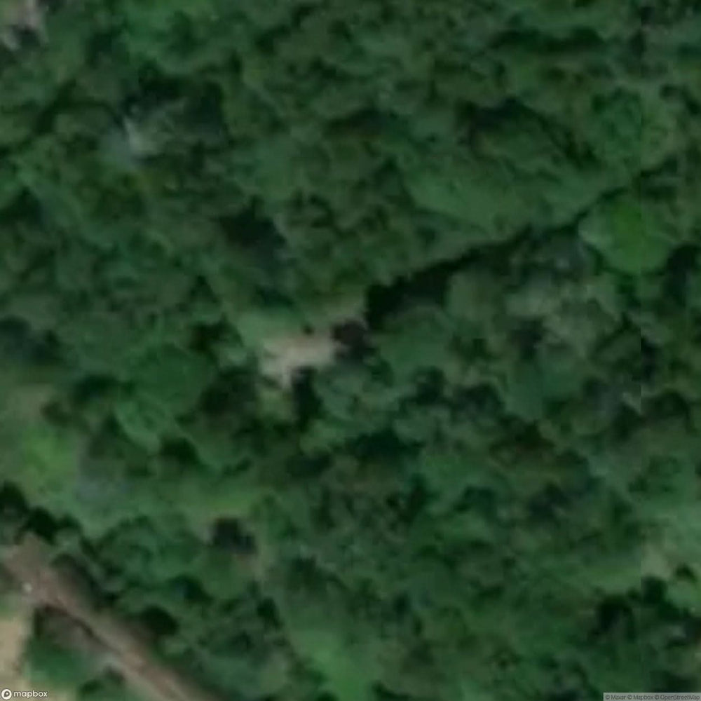 Collapsed Chimney Site [POL] #33847