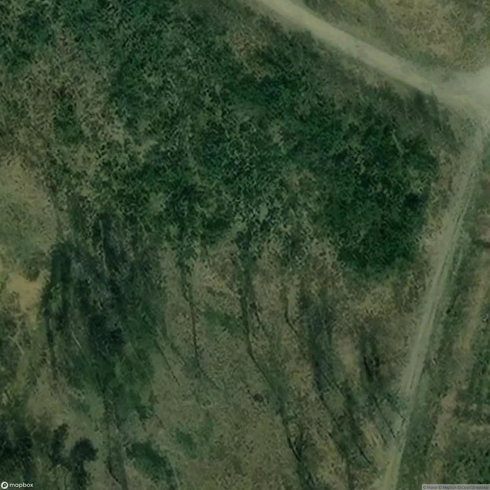 Site Bagatela Wedding Hall [POL] #33530