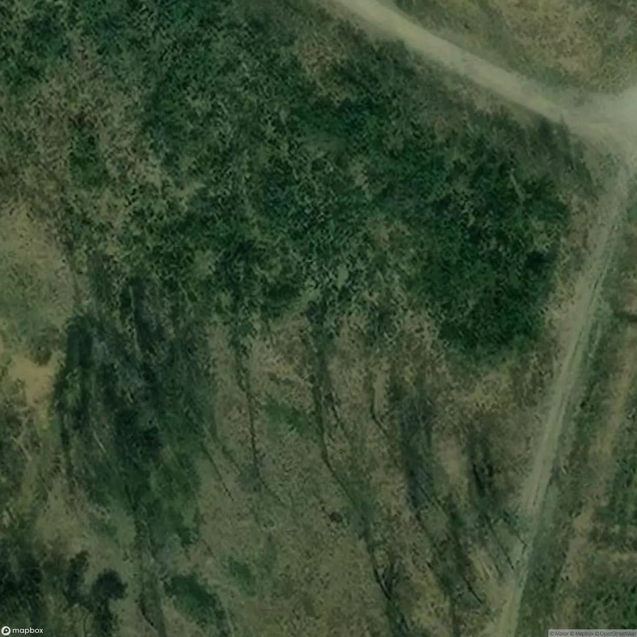 Site Bagatela Wedding Hall [POL] #33530