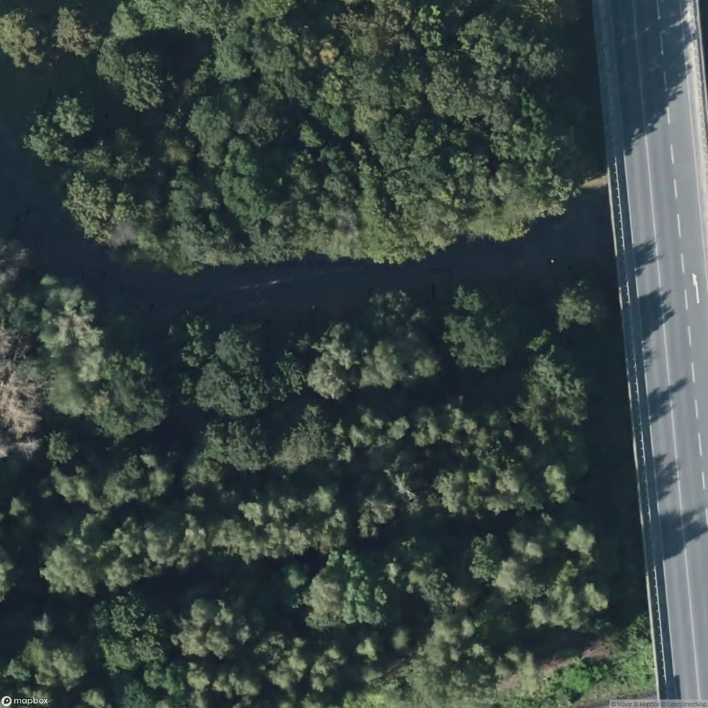 St Winifreds Quarry [DEU] #06632