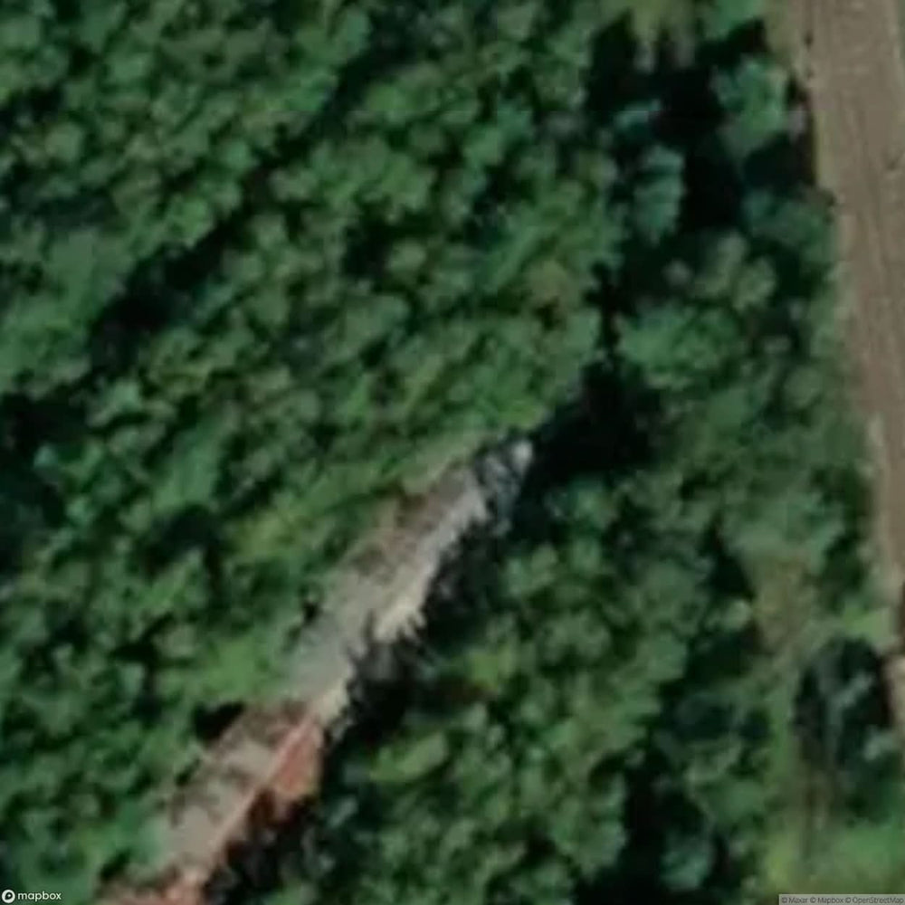 Cabin Green [SWE] #00171