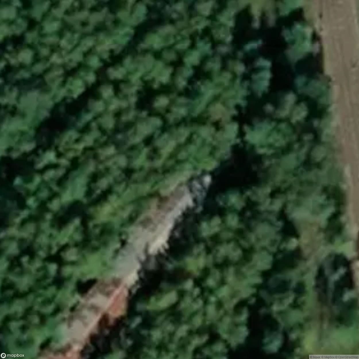 Cabin Green [SWE] #00171