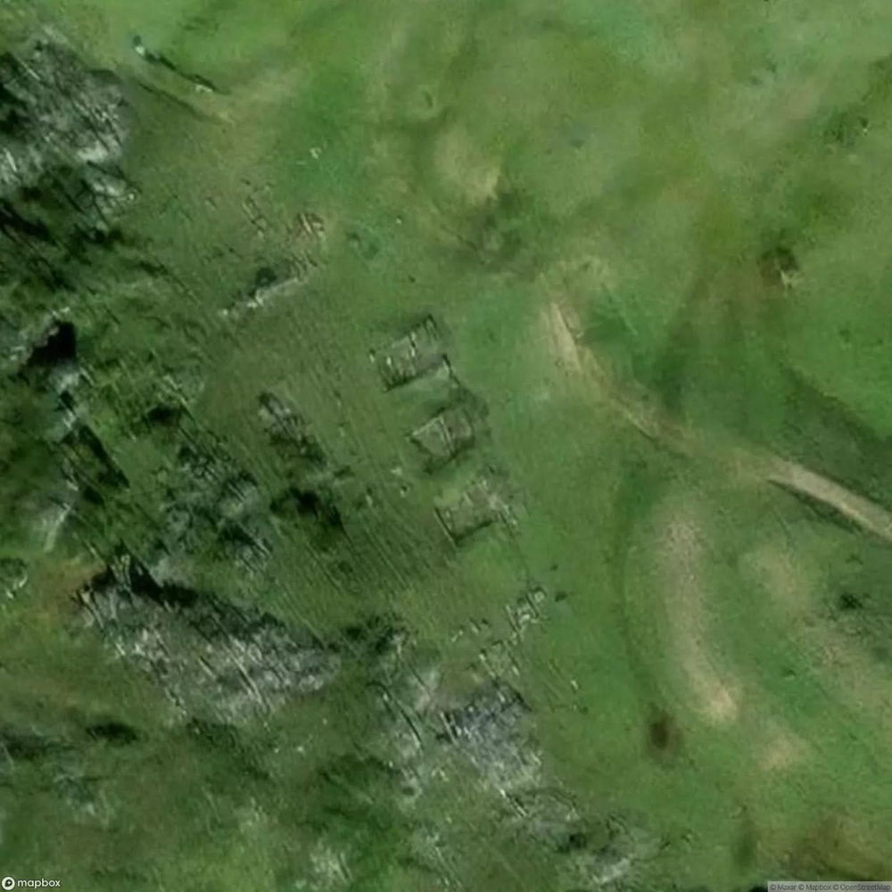 Ruins Woods [AUT] #11681