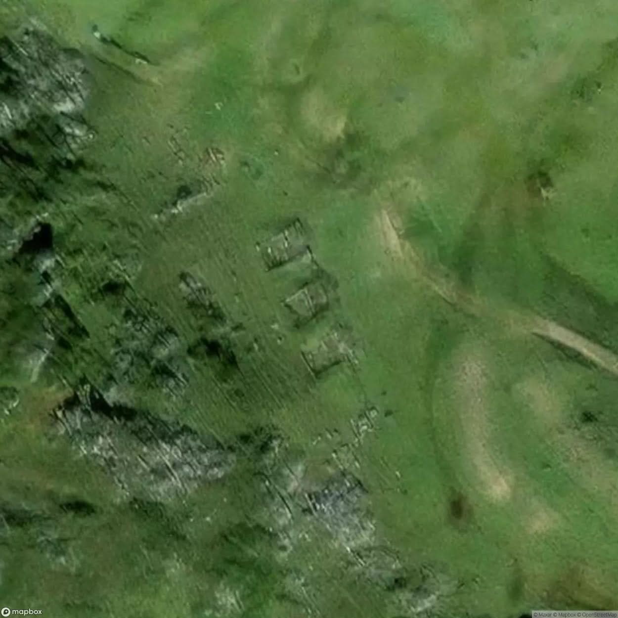 Ruins Woods [AUT] #11681