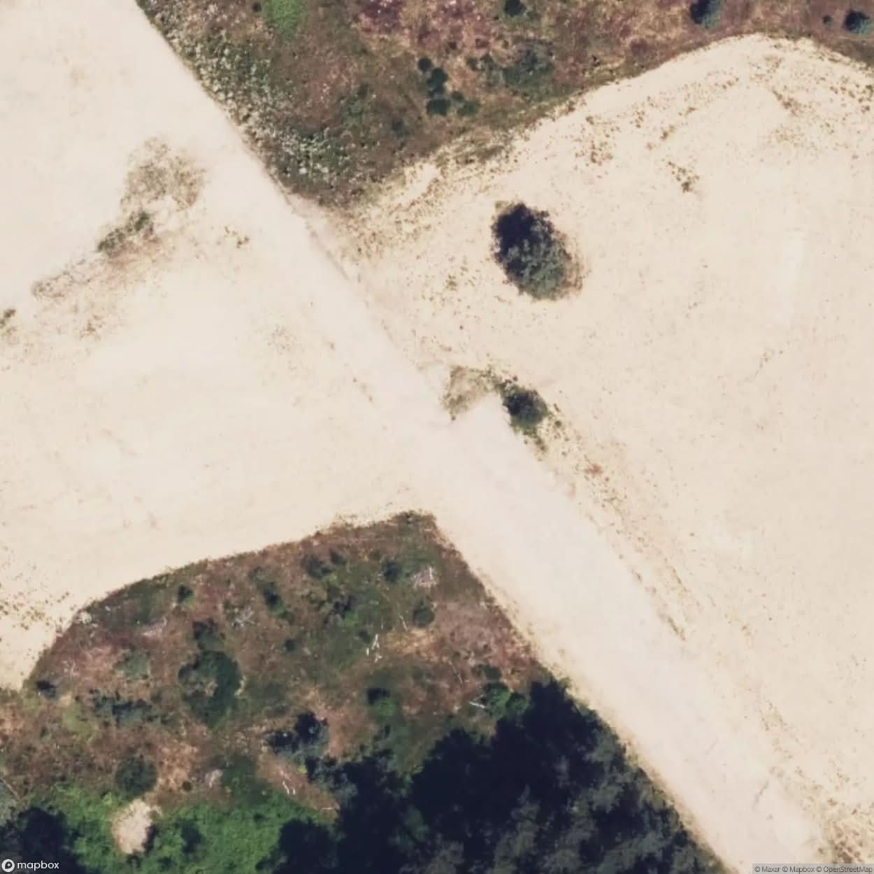 Molar Dam [DEU] #12468