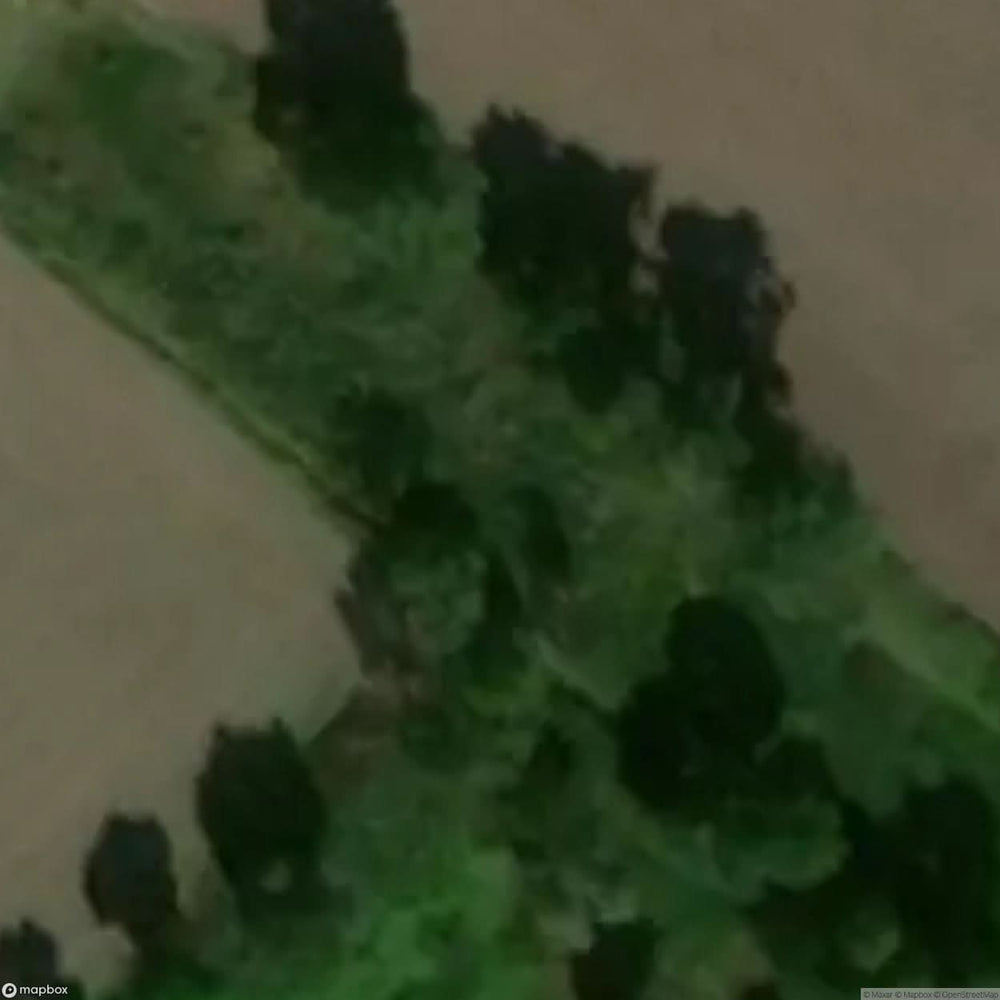 Historic Cemetery In Fiszewo [POL] #35796