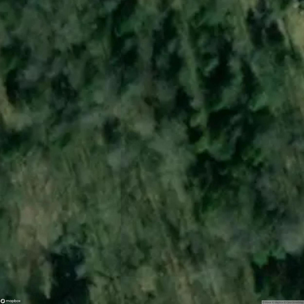 Gier Oz Site Near Ketrzyn [POL] #33326